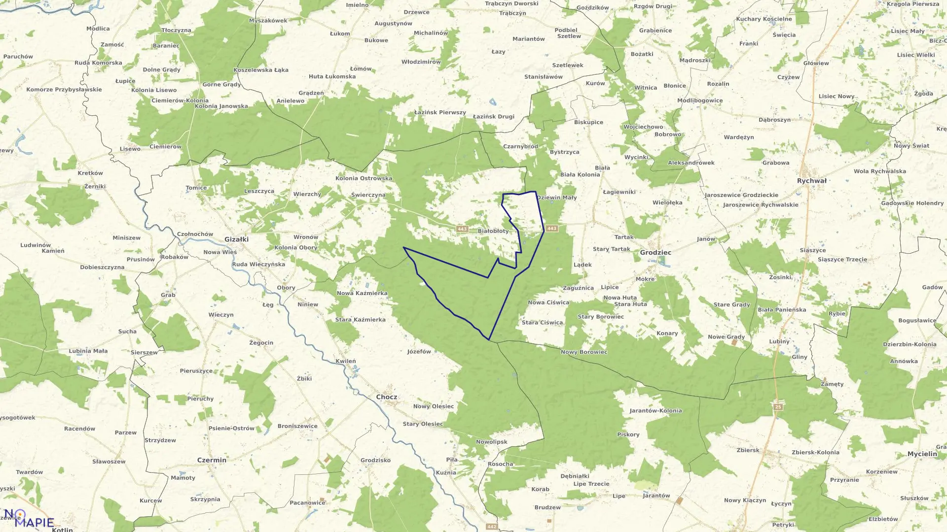 Mapa obrębu DZIEWIŃ DUŻY w gminie Gizałki